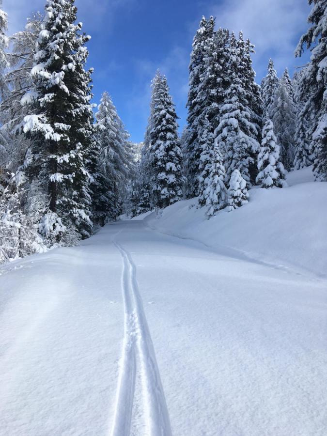 Gasthof Post Krems in Kaernten Eksteriør billede